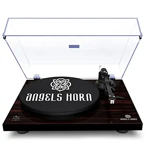 Angel's Horn Turntable