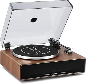 1byone Vinyl Record Player with Bluetooth
