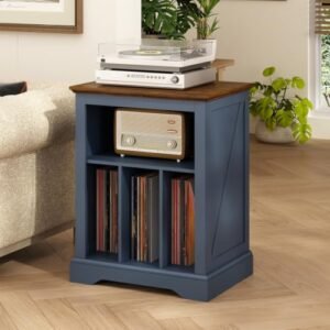 RowyPoey Blue Record Player Stand Review 2026