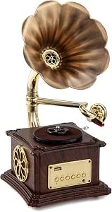 Mini Gramophone Vintage Copper Horn Record Player with Bluetooth, USB, AUX, FM Radio and Built-in Speakers for Gift Home Decor Review